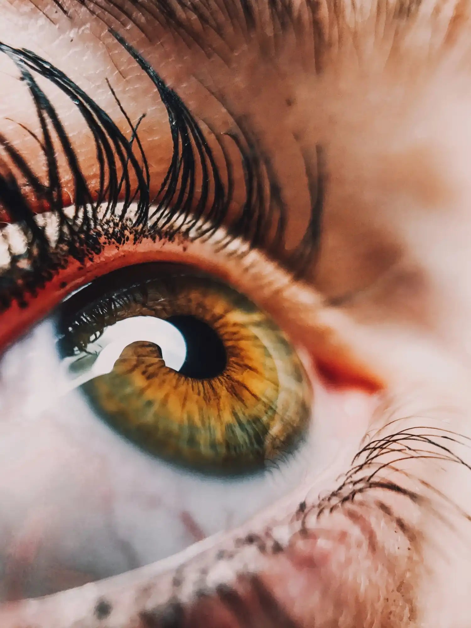 Hazel eye with long lashes.