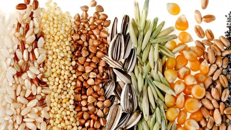 Discover the Power of Natural Weight Loss: Embrace the Beauty of Whole Grains