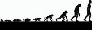 Seven Root Races Chart Bodhaya | THE SEVEN ROOT RACES