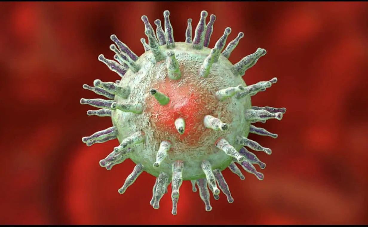 Unmasking the Epstein Barr Virus: Understanding its symptoms treatment and prevention