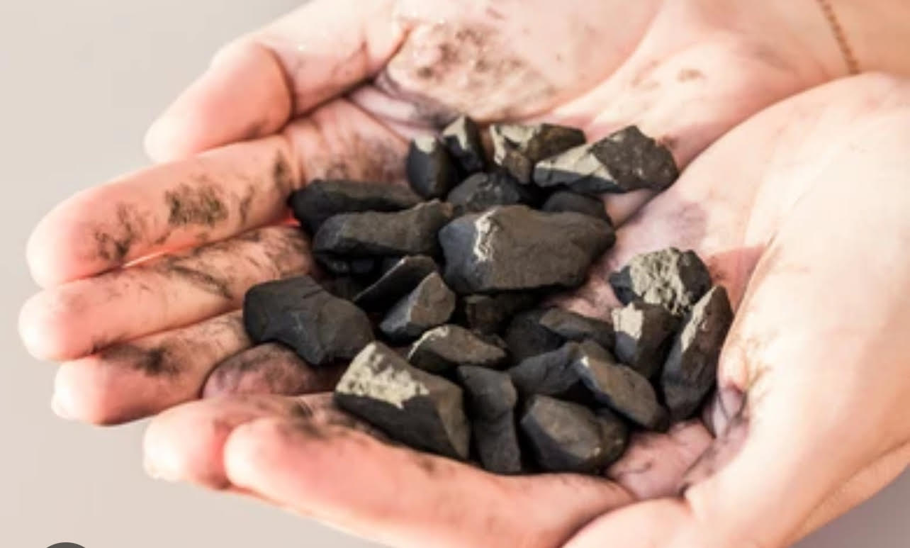 Harnessing the Health Benefits of Shungite Water: A Wellness Practitioner's Perspective