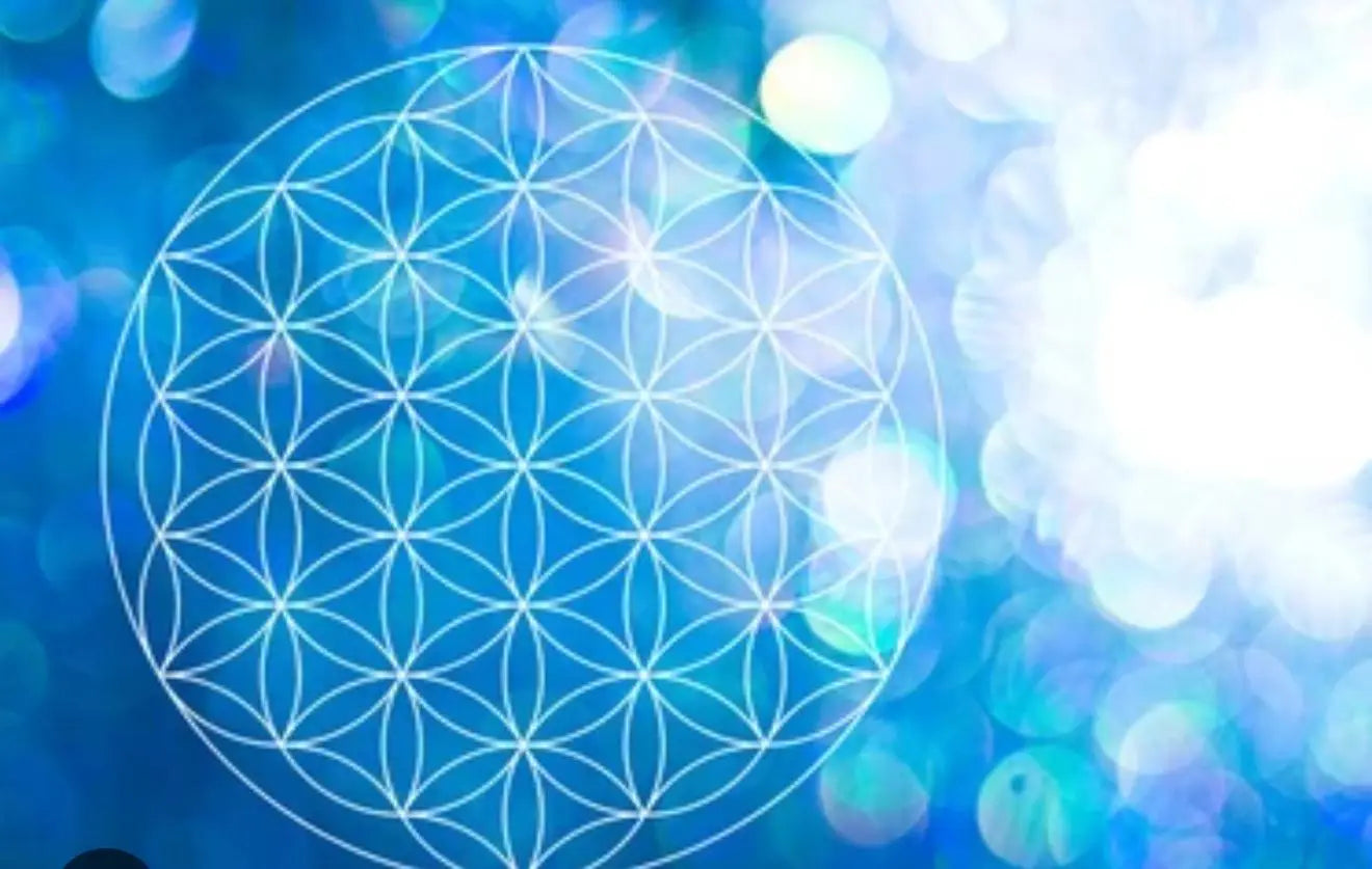 Bodhaya Quantum Wellness Membership Plans