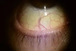 Brown leather wallet with gold hardware and embossed logo.