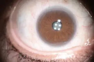 Brown leather wallet with silver hardware and embossed logo.