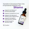 Shame by DesBio - Beauty & Health - Health Care - Health Food - Vitamins & Supplements