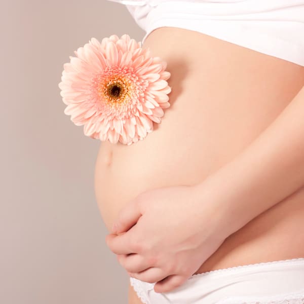 The Art of Birth - Services